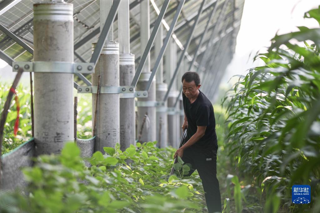 太阳城游戏登录